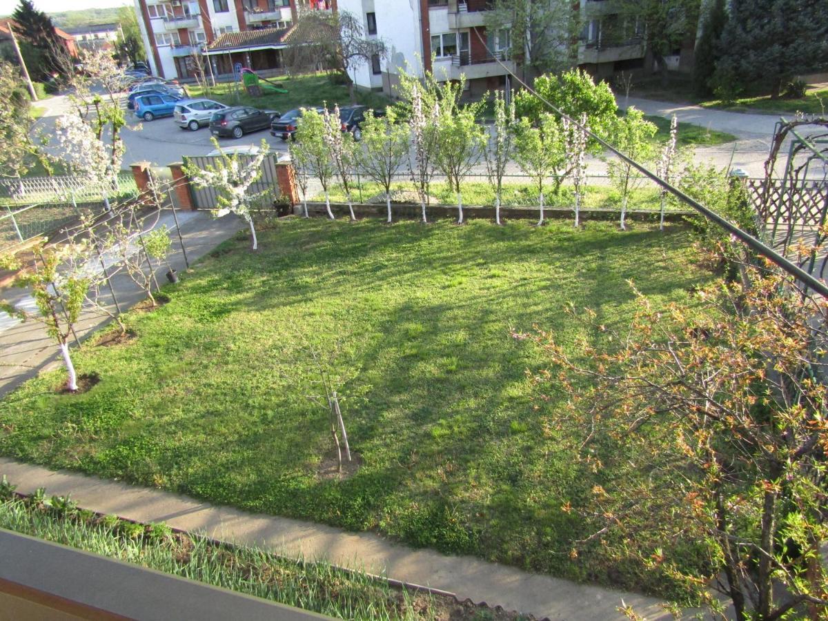 Apartman Milena Kladovo Exterior photo